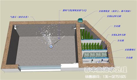 云南庭院院子景观鱼池施工图片1