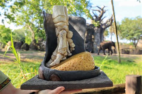 Behind the Scenes: How Disney’s Animal Kingdom Cares for Elephant Feet ...