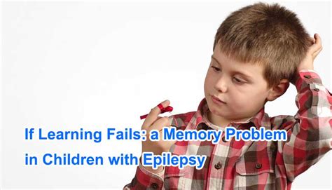What organs are affected by epilepsy