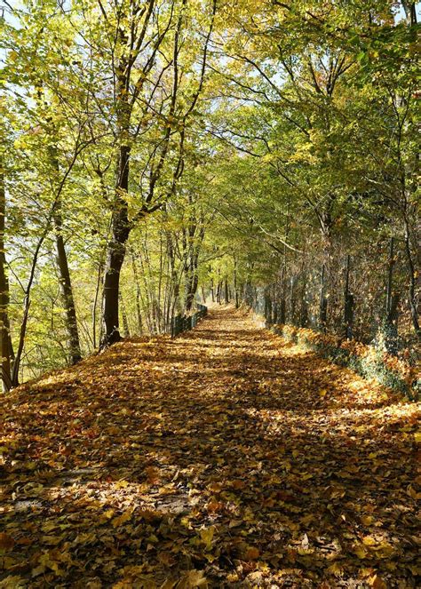 The best European walking holiday destination for every season - Bfive