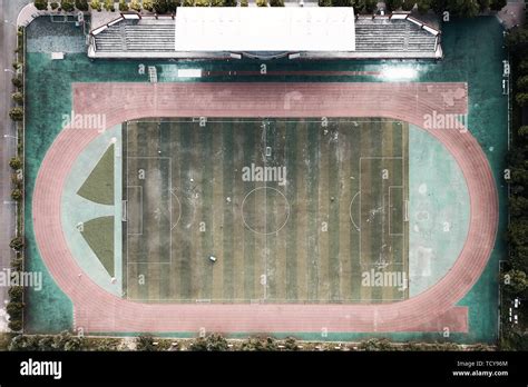 Sportsfield College 的图像结果