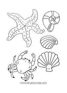 malvorlagen umwelt sticker free printable starfish coloring pages dopepicz malvorlagen umwelt sticker free printable starfish coloring pages dopepicz