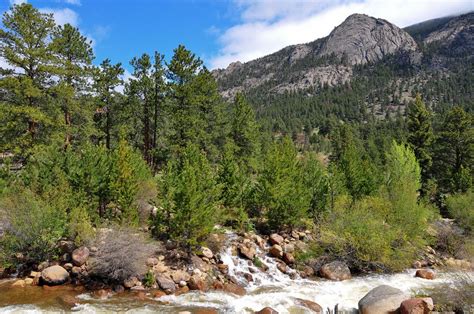 Aspen Glen Campground Colorado: Camping Reservations & Reviews