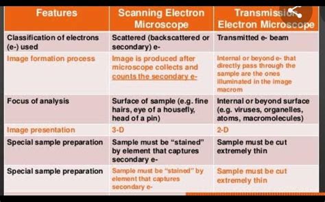 Comparision between optical microscope , sem and tem together
