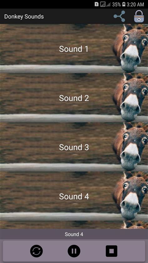 Donkey Sounds APK for Android Download