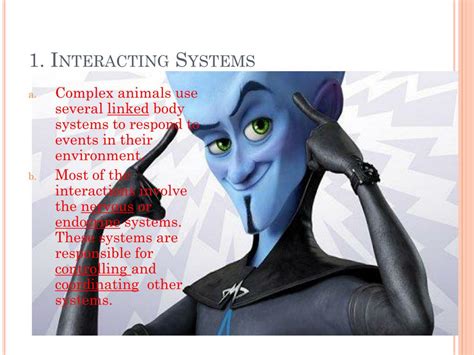 Body System Interaction Chart 的图像结果