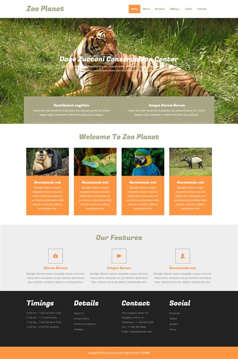 老虎动物园网站模板_站长素材