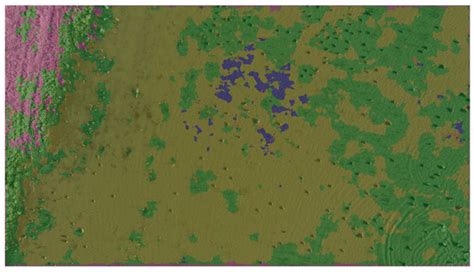 New Methods for Waterfowl and Habitat Survey Using AI and Drone Imagery