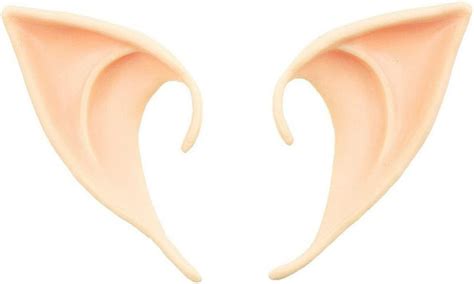 Buy BookMyCostume Dracula Vampire Devil Teeth Kids & Adults Fancy Dress ...