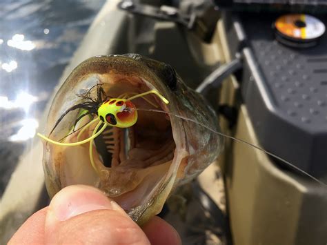 Long Run Park, Fly Fishing just inside the metro of Louisville, KY!