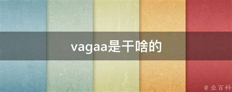 vagaa是干啥的 - 业百科