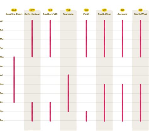 Sweetest Batch Blueberries | Perfectly Sweet & Juicy | Driscolls
