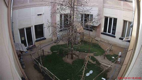 Image result for Coderz Answers Object Detection 2