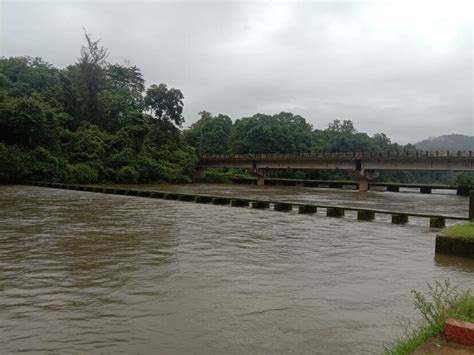 Kumaradhara River: ಮೈದುಂಬಿ ಹರಿಯುತ್ತಿದೆ ಕುಮಾರಧಾರ ನದಿ; ಇಲ್ಲಿವೆ ಫೋಟೋಗಳು ...