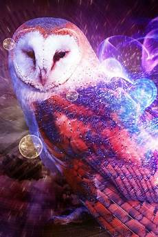Barn Owl Phone Wallpaper by 175 Best Images About H I P S T E R On Hippie Barn Owl Phone Wallpaper