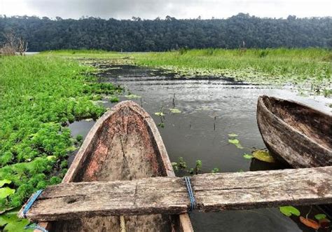 Bali Jungle Trekking - Private Day Tours (Singaraja) - 2022 What to ...