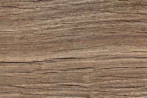 Image result for Beautiful Table CSS CodePen