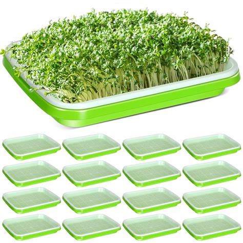 Eaasty 16 Pcs Seed Sprouter Tray with Drain Holes Seed Germination ...