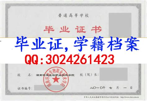 武汉工程职业技术学院毕业证样本样式图片-胡杨树样本网