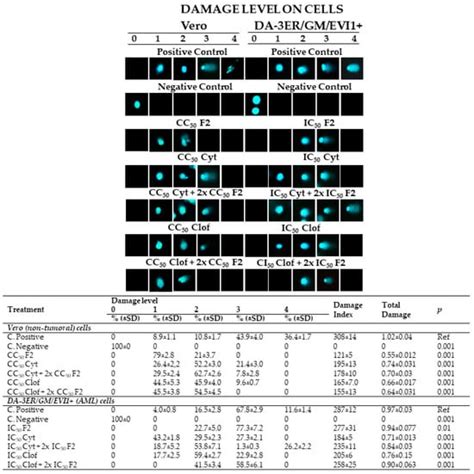Enhancing Selectivity and Inhibitory Effects of Chemotherapy Drugs ...