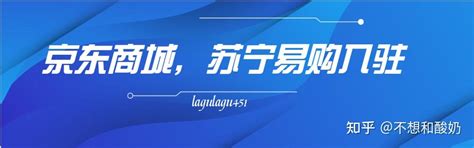 苏宁物流和京东物流？一文概述苏宁与京东物流“异与同”-物联云仓