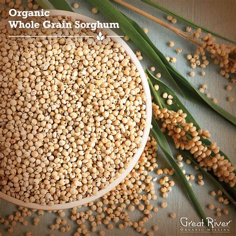 Buy Organic Whole Grain Sorghum - 25 lbs Online Nepal | Ubuy