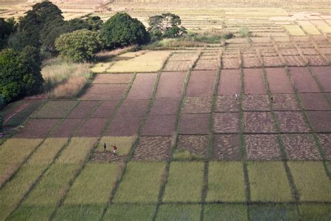 Argentina Agriculture 的图像结果