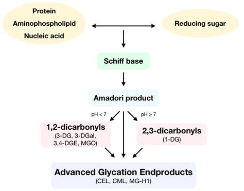 Redox Signaling and Advanced Glycation Endproducts (AGEs) in Diet ...