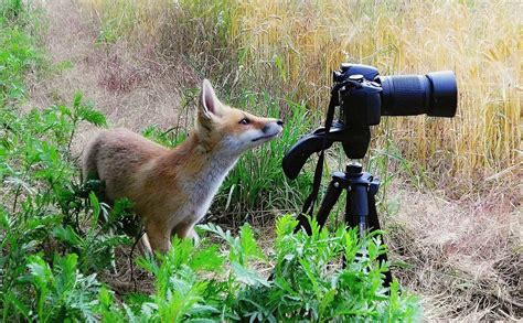 Image result for Easy Part of Python Code