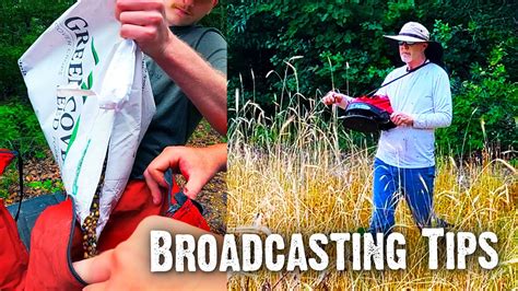 Broadcasting Planting 的图像结果