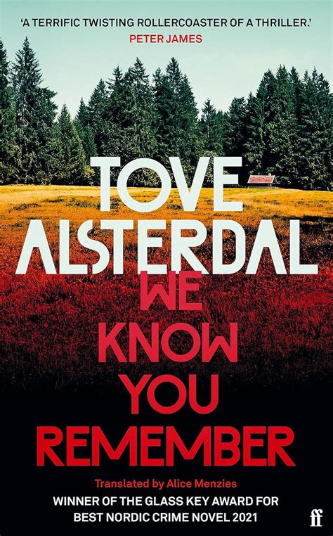 We Know You Remember: The No. 1 International Bestseller (High Coast ...