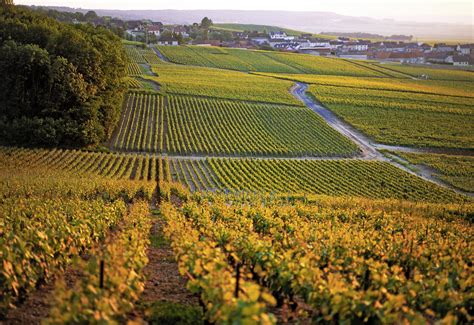 Champagne Palmer & Co: Where ‘time’ is an essential ingredient - St ...