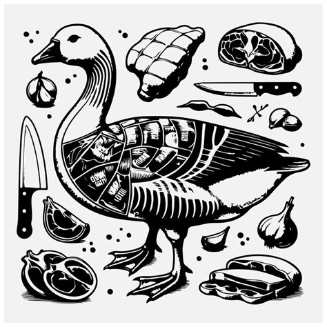 Goose butchery diagram cuts of goose perfect for restaurant menus and ...
