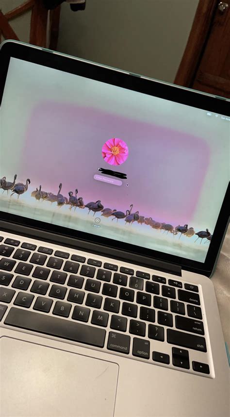 Has anyone had this kind of pink screen issue? 2014 MacBook Pro and it ...
