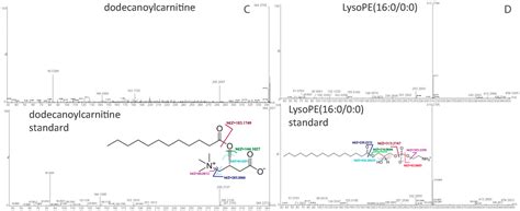 IJMS | Special Issue : Microbial Genomics and Metabolomics