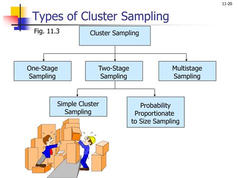 Image result for Sampling PPT