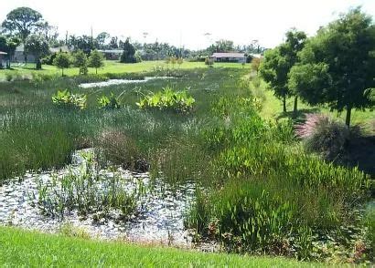 What is stormwater management? Martin Countys approach, Online event ...