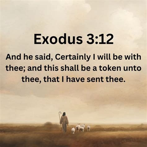 A Sword of Truth: Understanding Matthew 10:34-36 - Biblical Life Lessons