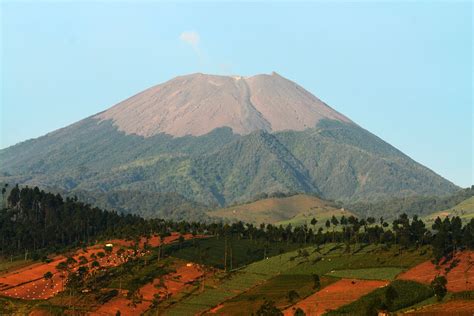 gunung slamet berada di