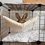 Image result for DIY Rabbit Bed