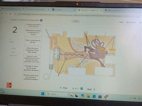 transmit sound waves to the inner ear | StudyX