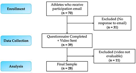 Selective Functional Movement Assessment (SFMA) Reliability and ...