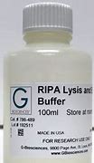 Image result for Ripa Lysis Buffer