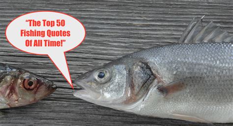 50 Inspiring & Funny Fishing Quotes From Famous People, Celebrities ...