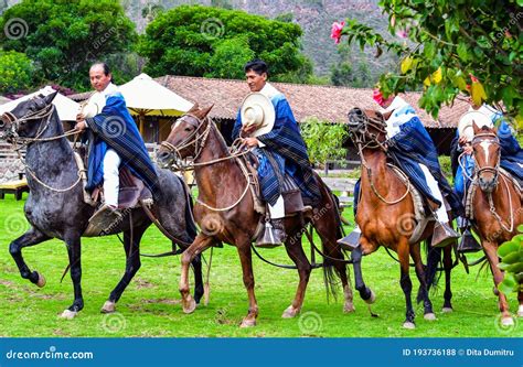 Paso Peruvian Horse-Wayra Urubamba - Peru 65 Editorial Stock Photo ...