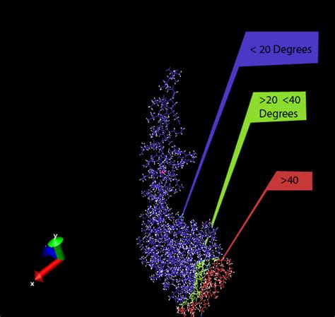 Annotated gamma-subunitof ATP synthase after the bottom of the subunit ...