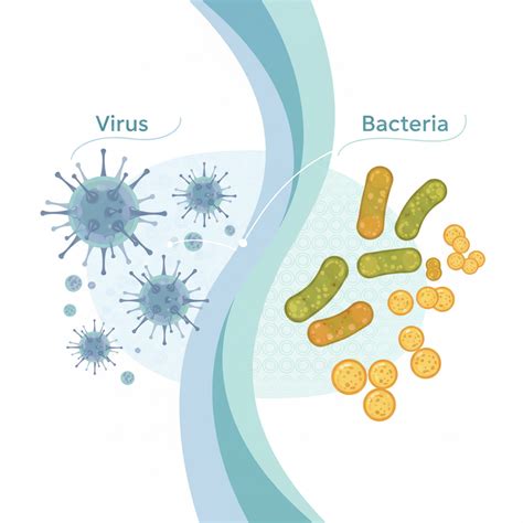 Viral vs Bacterial Infections: Key Differences