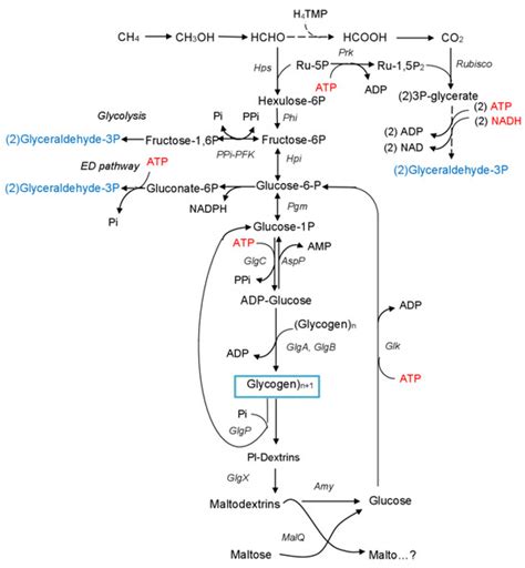 Fermentation | May 2024 - Browse Articles