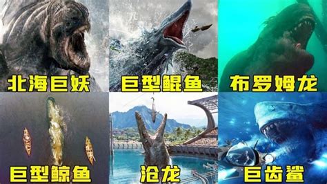 深海巨兽存在吗？这4种生物，科学家也解释不清楚_照片_鱿鱼_海洋