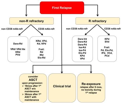 Relapsed/Refractory Multiple Myeloma in 2020/2021 and Beyond